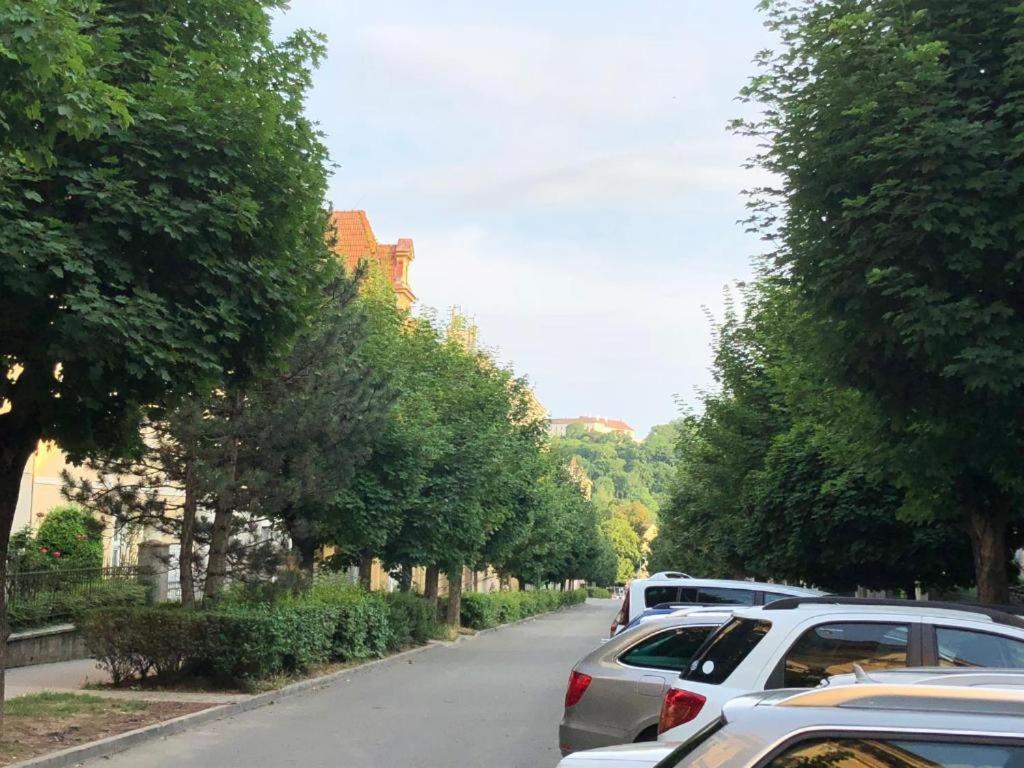 Rooms Veveri - Uvoz, 10 Min Peski Do Centru Brno Ngoại thất bức ảnh